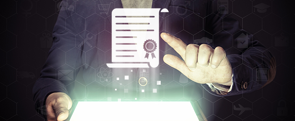 Intellect Risk Analyst