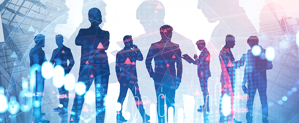 Intellect SEEC Expands IT