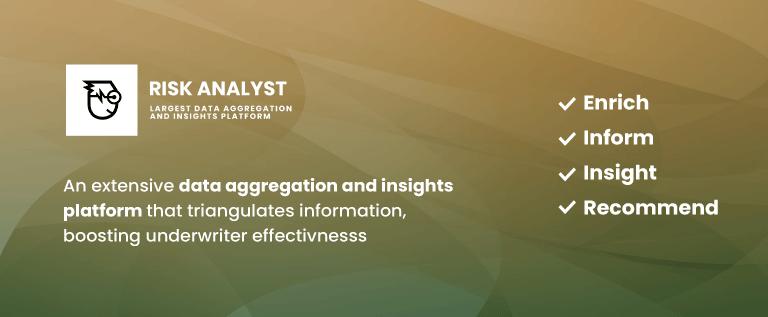 Risk Analyst Overview