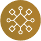 Data export and reporting capabilities